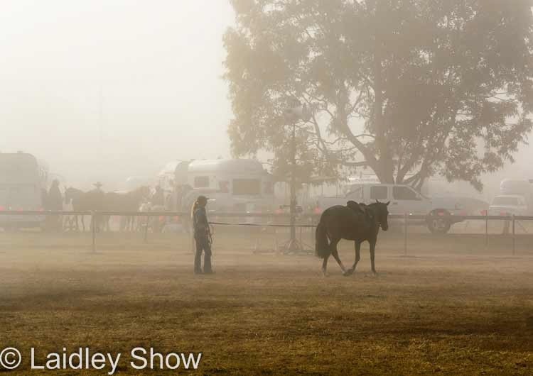 Lockyer Valley Visitor Information Centre Laidley Show 2024